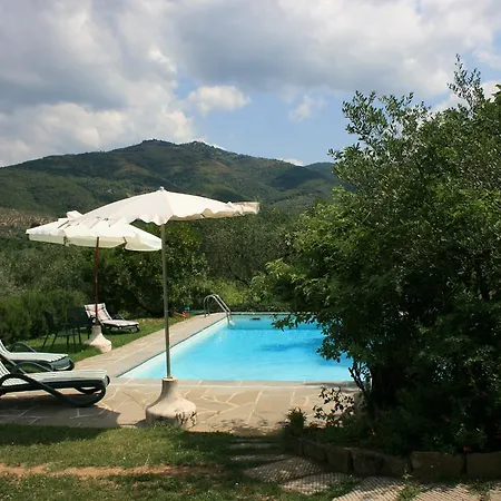 Collina Dei Fiori