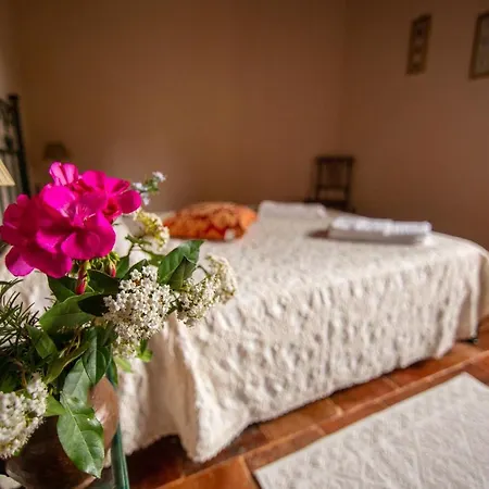 Collina Dei Fiori كاستيجليون فيورنتينو