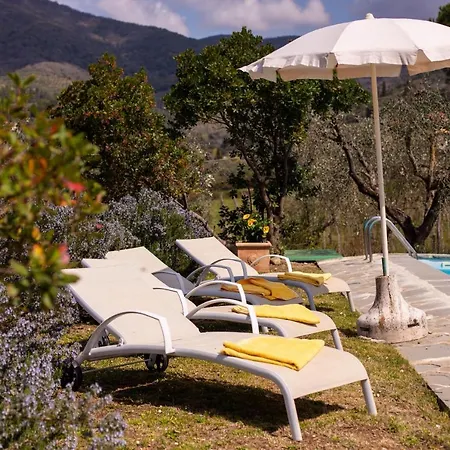 Collina Dei Fiori فيلة
