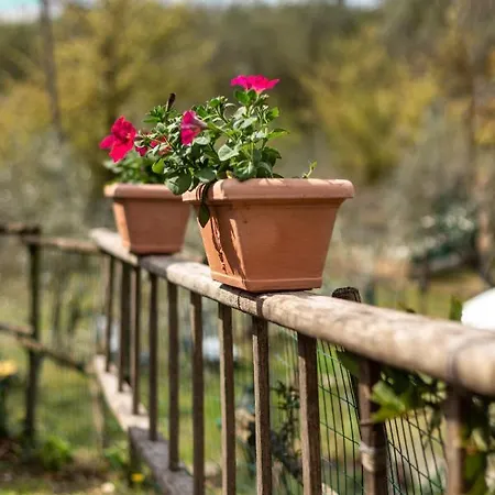 Villa Collina Dei Fiori *