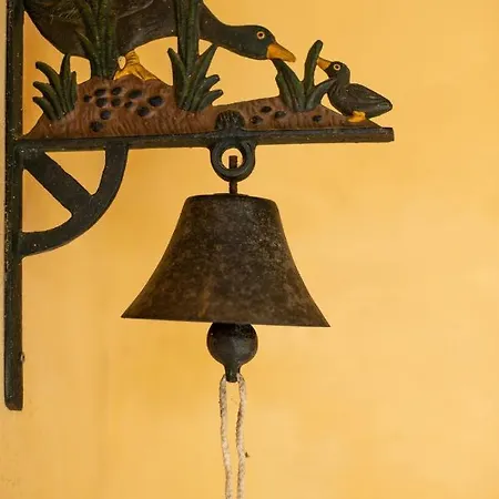 Collina Dei Fiori