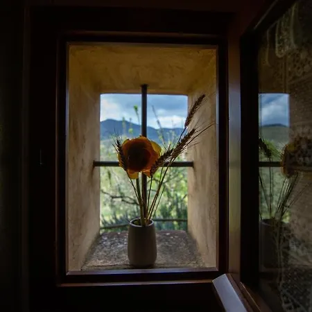 Collina Dei Fiori كاستيجليون فيورنتينو