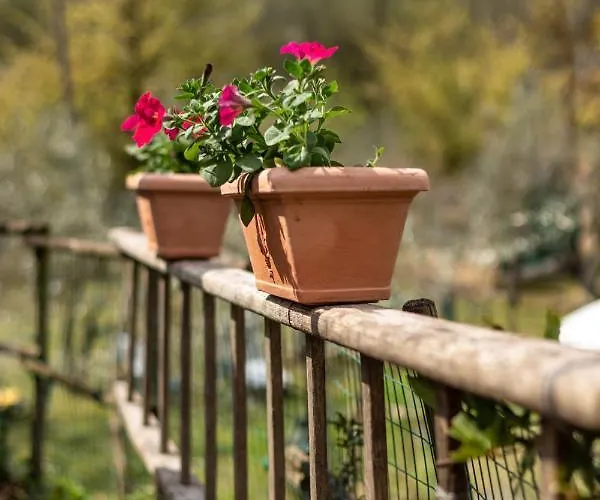 ヴィラ Collina Dei Fiori *