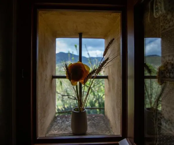 Collina Dei Fiori カスティリオーン・フィオレンティーノ
